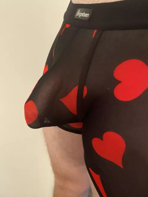 This might not count as a cock “outline” but I thought you might appreciate haha by Thatwestieguy