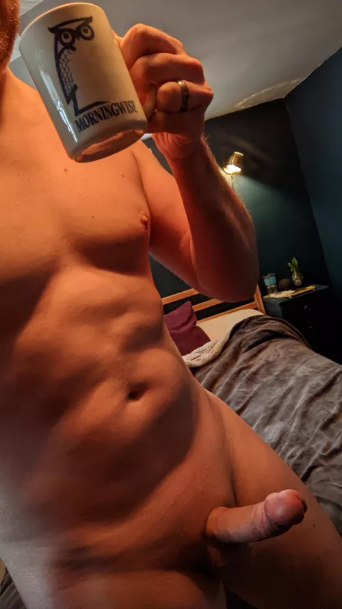 This Owl is Wide Awake by Internal-Pickle-6707