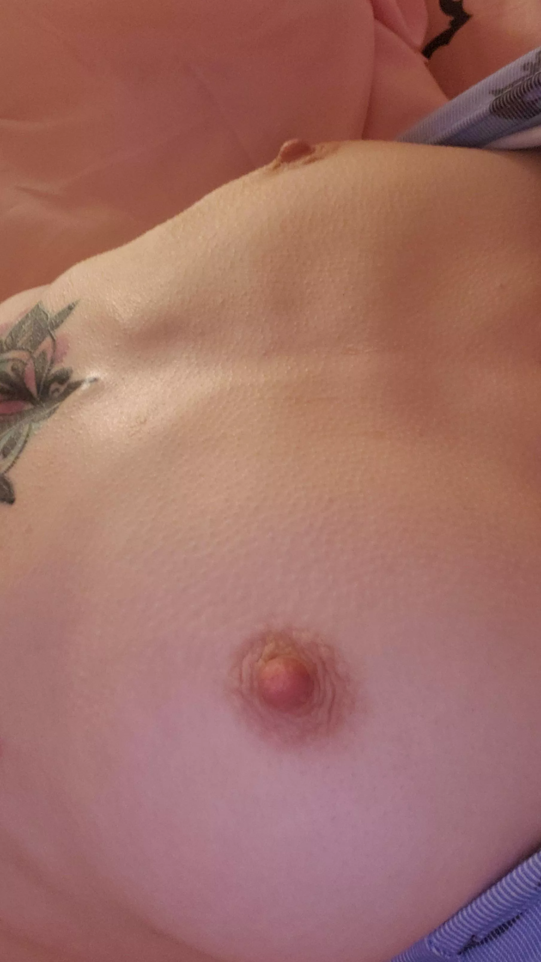 this pic even makes me want to bite them posted by ur_succubus_gf