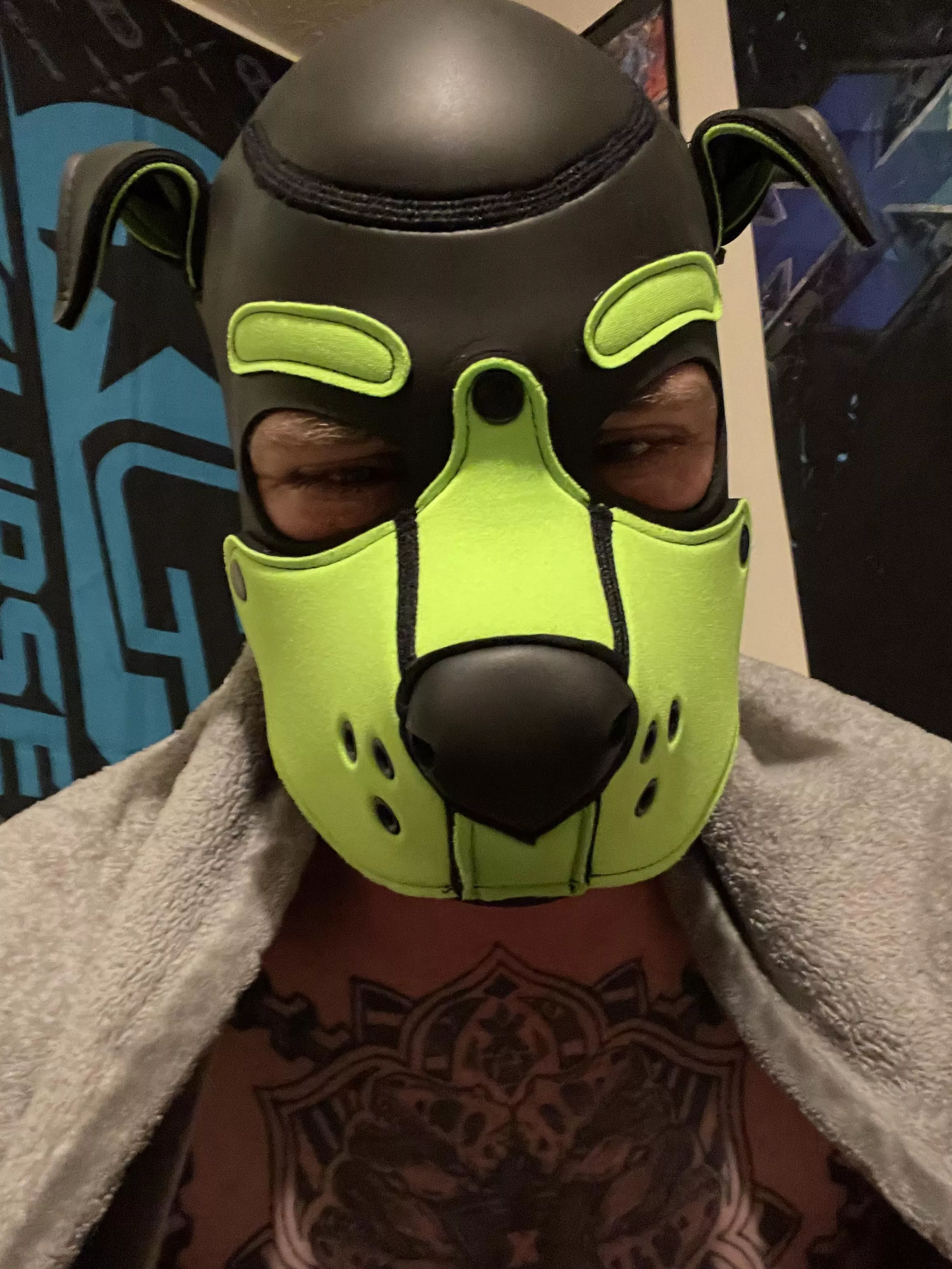 This pup is absolutely crushed right now…. It feels broken…. Handler abandoned me, while my mom is in the hospital…. She had to have emergency heart surgery. This pup feels hurt, confused, and nothing but sadness.. posted by SnackyThePierced