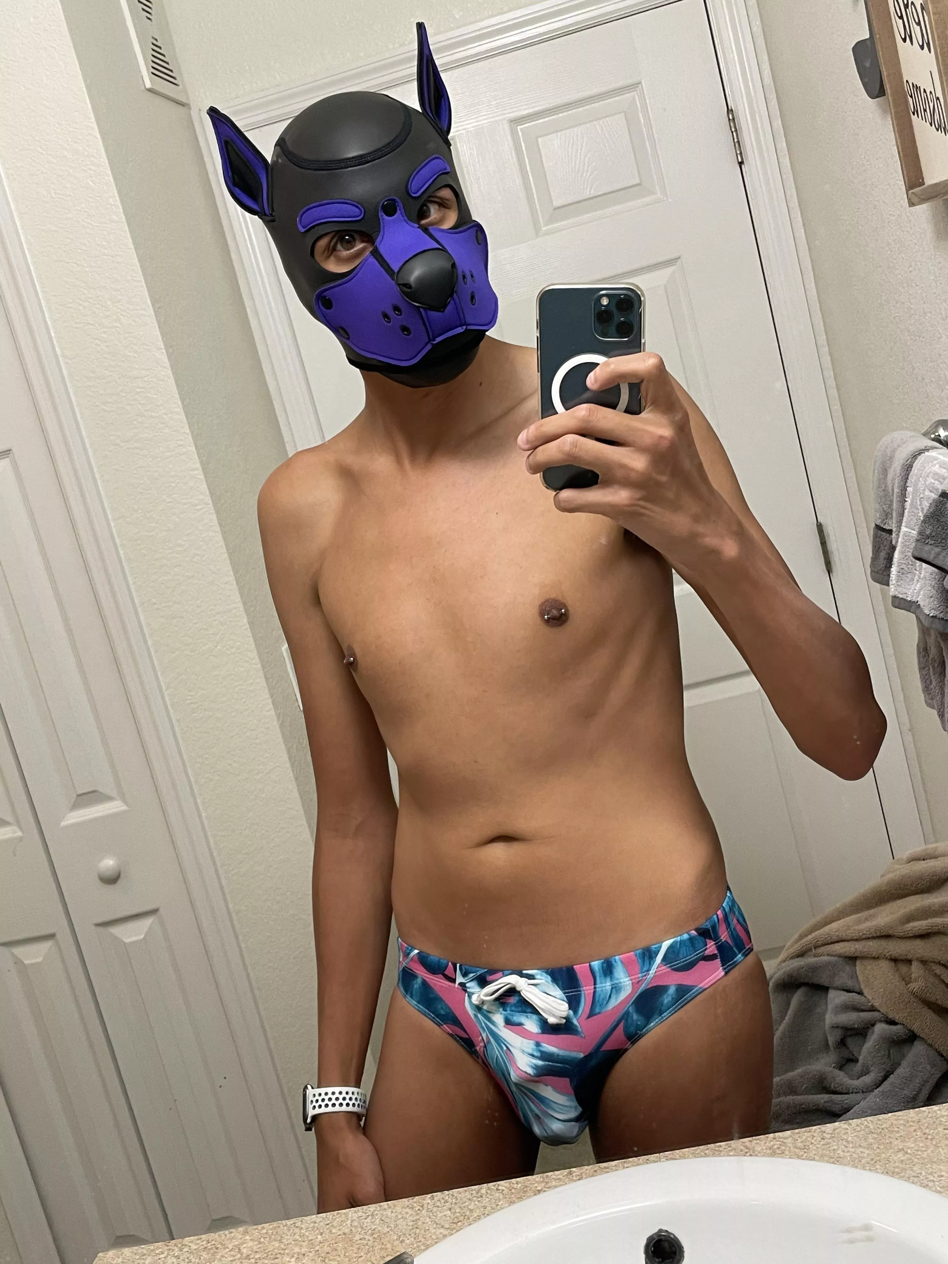 This pup loves wearing speedos. posted by mcofist10