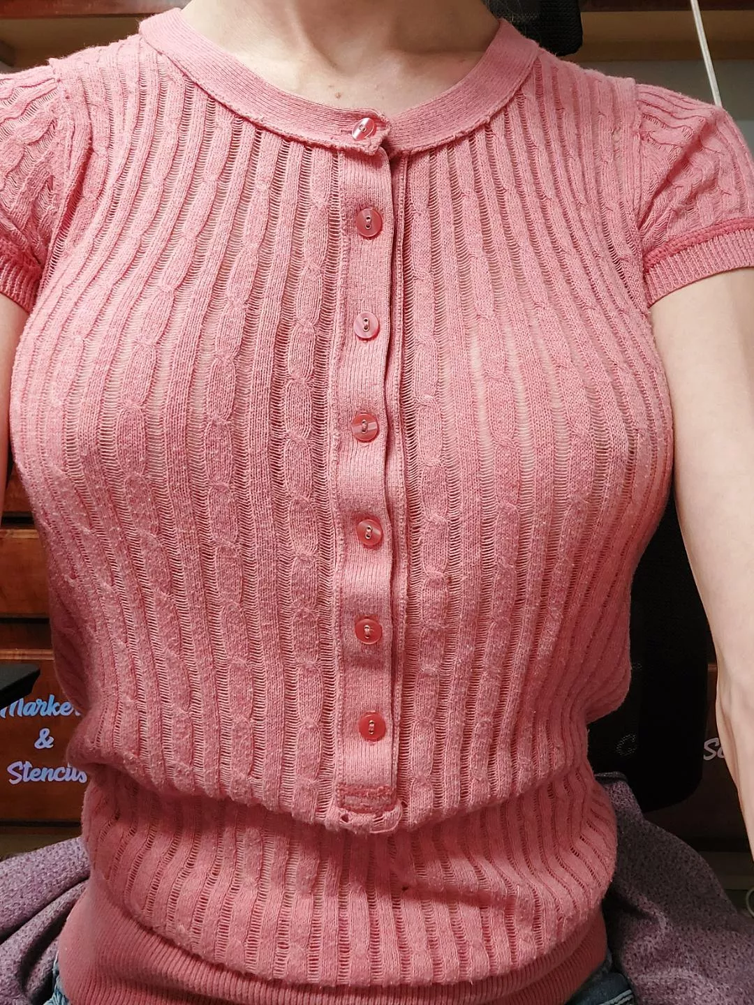 This shirt is acceptable to be braless in, right posted by BigTits_LittleWaist