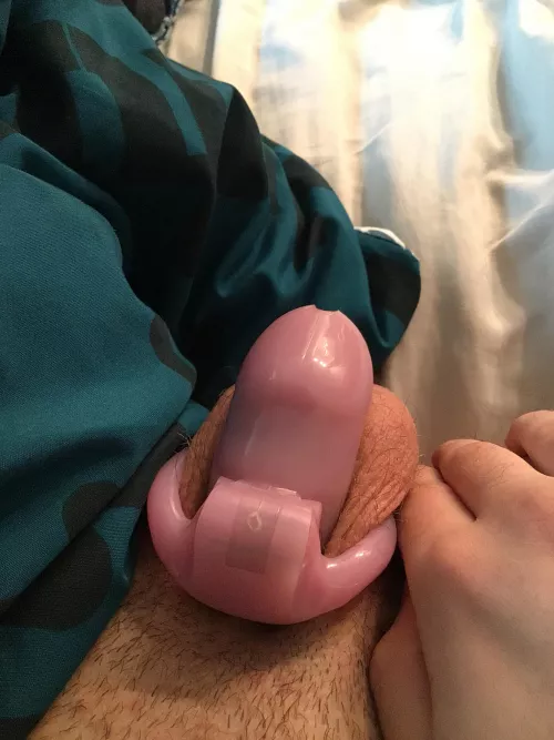 This sub Reddit has done weird stuff to me by Kendoll692