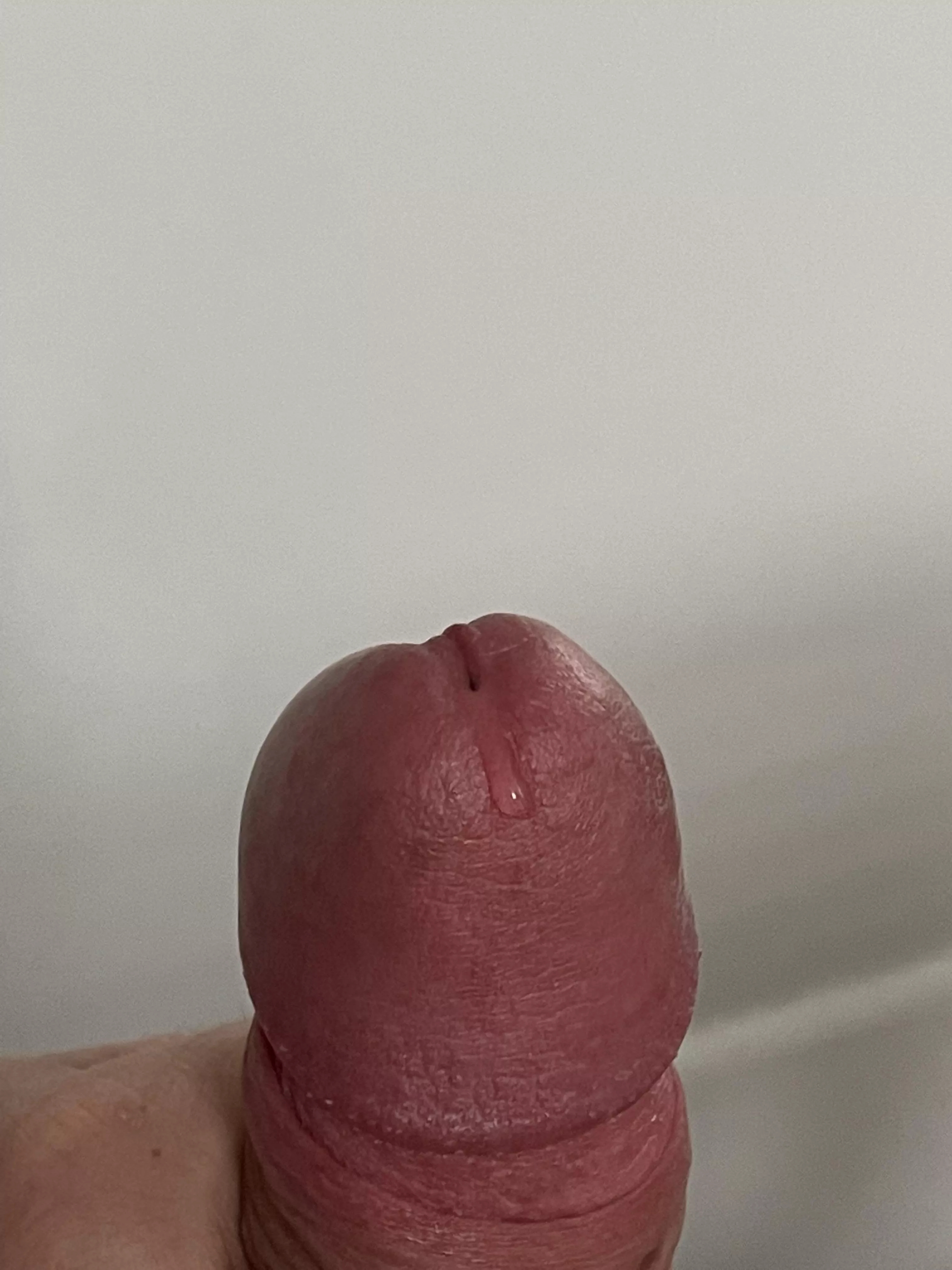 This two week load is leaking out of my balls💦💦 posted by Readytoblow9090