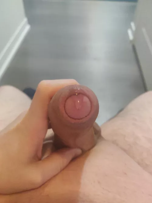 this was the beginning by whatwhatpirate