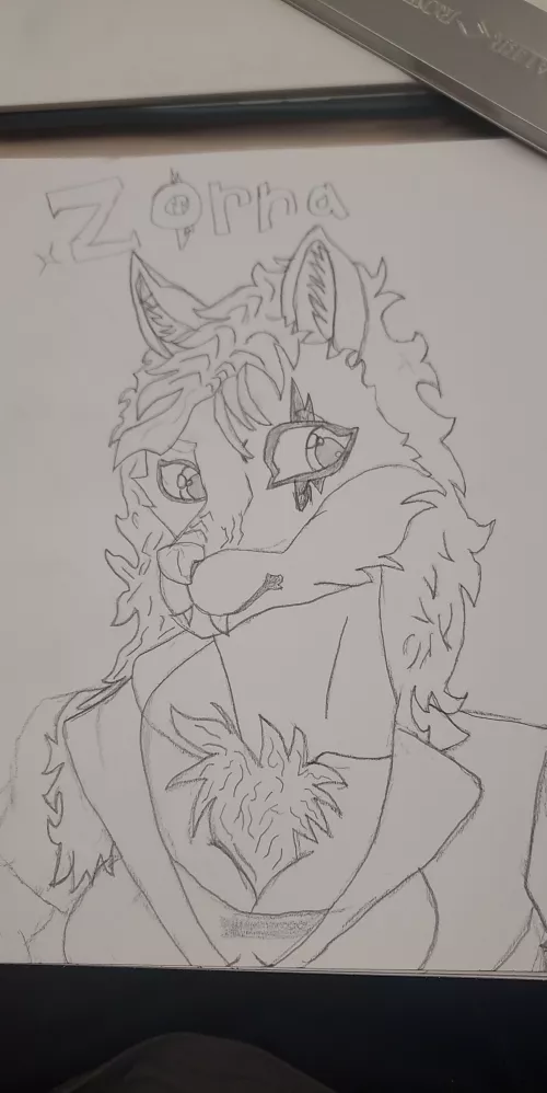 this was the third furry I ever drew, I'll post the second later by yeetmaster2243