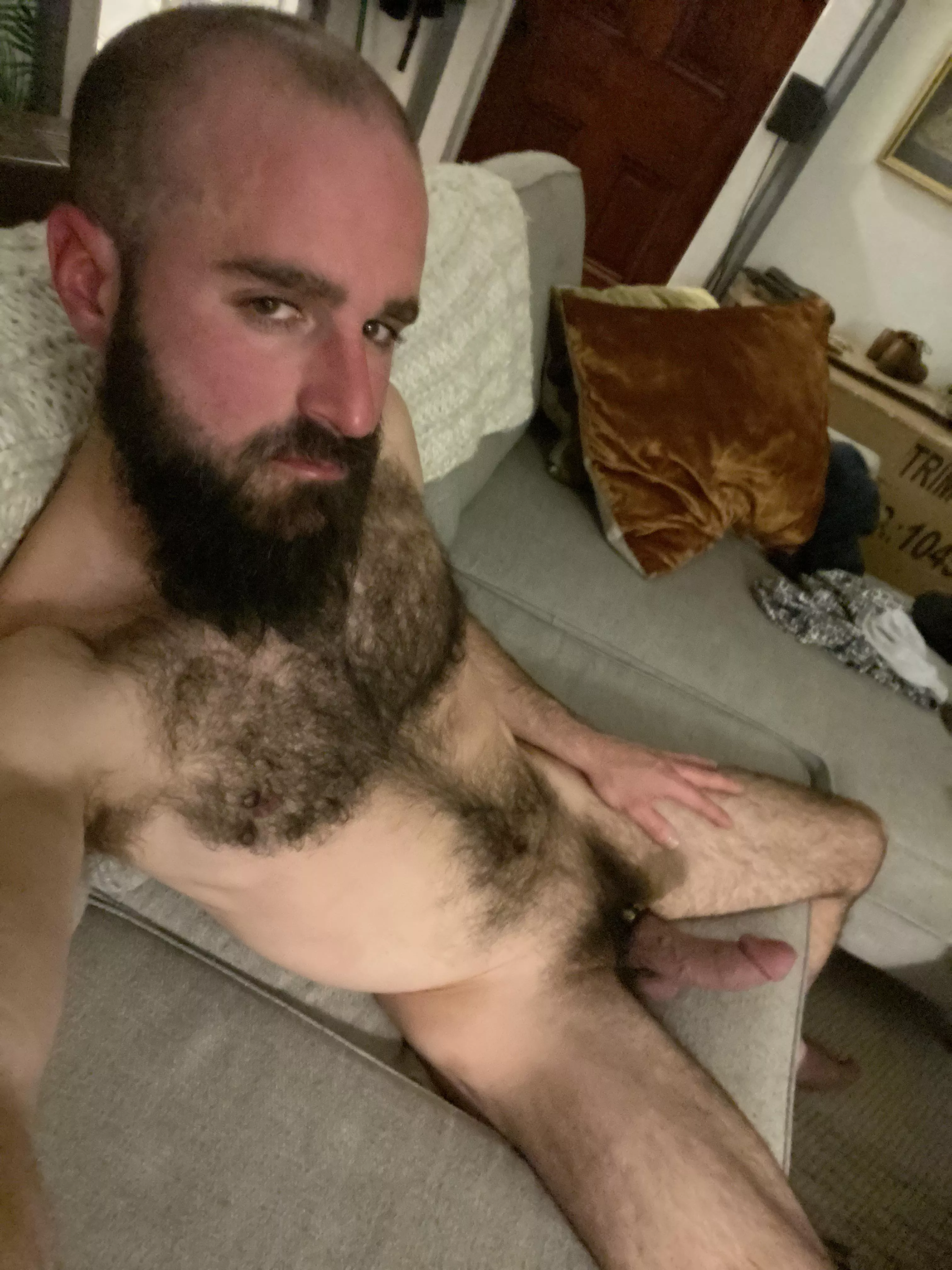 This work? posted by 2400nola