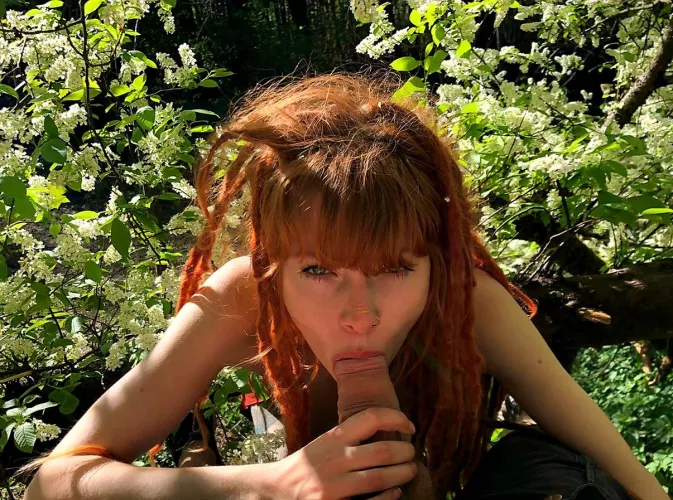 Thoroughly enjoyed our Easter egg hunt [F] by Pacific--Misfit