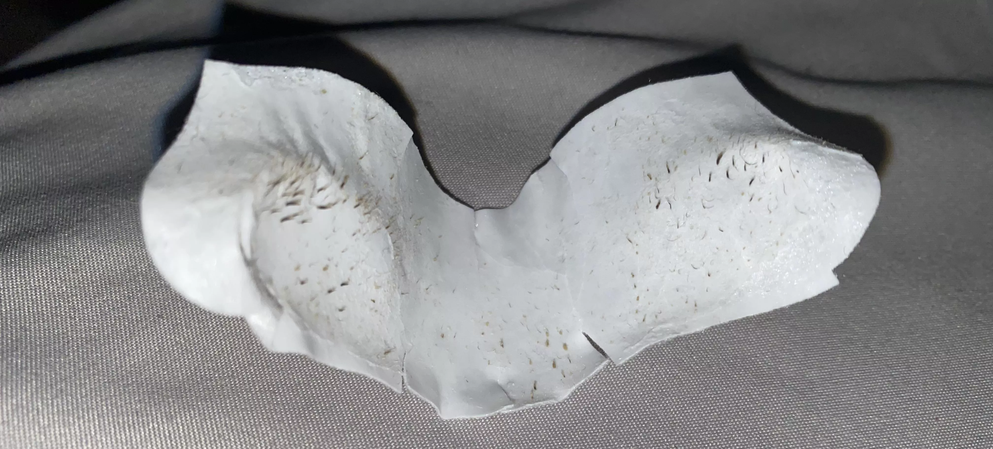 Thought some of you might enjoy my friend’s pore strip. Never expected this posted by princesspuddin9