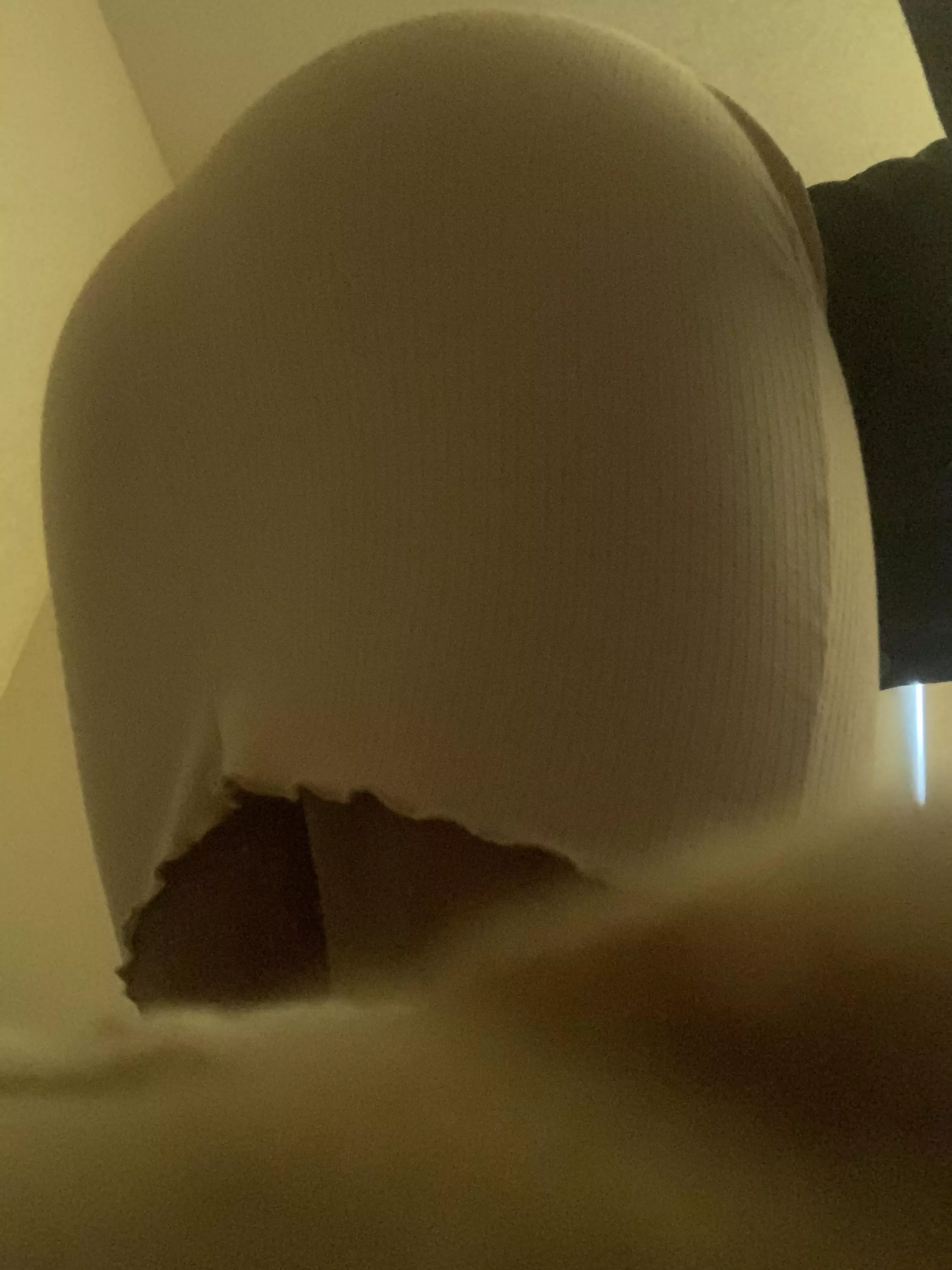 Thought this was cute might delete [F] posted by PerceptionDue3443