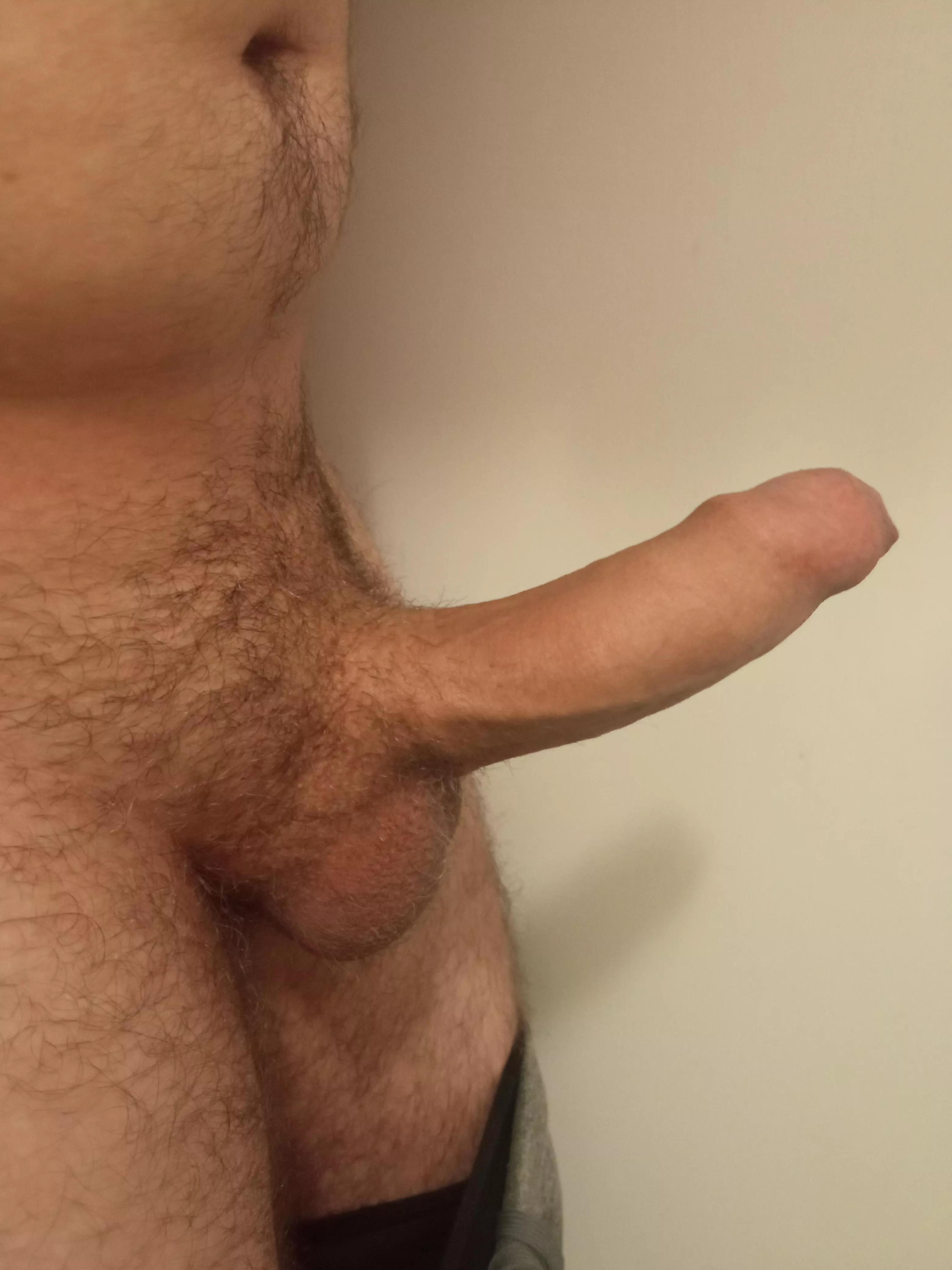 Thoughts? posted by AcanthaceaeNarrow404