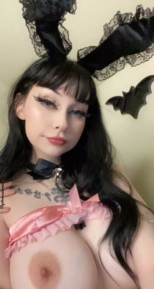 thoughts on bunny ears? by MysteriousArrival