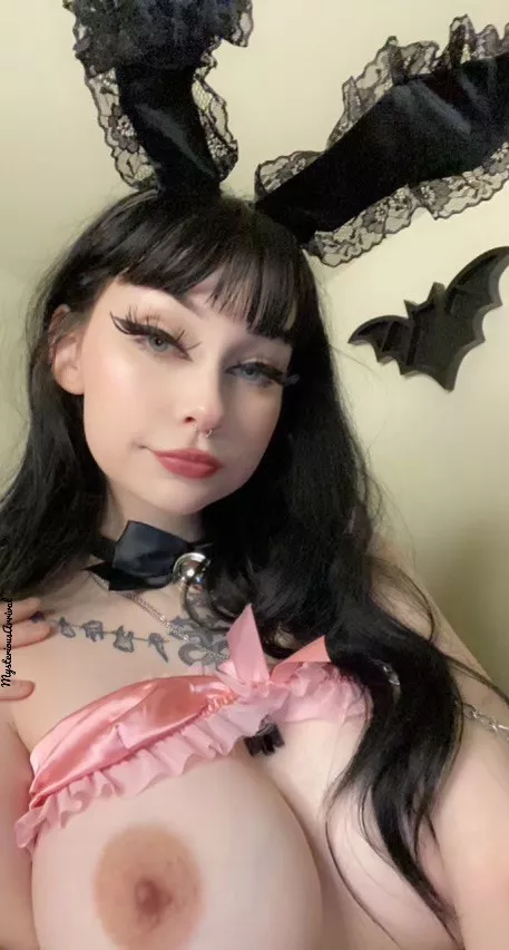 thoughts on bunny ears? posted by MysteriousArrival