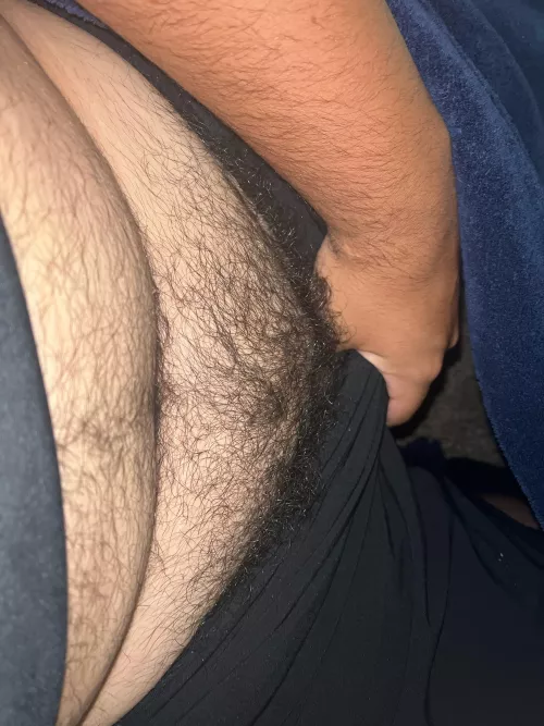 Thoughts on the bush? by IndividualGarage1