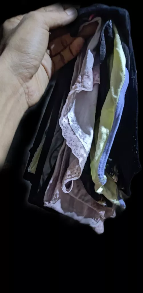 Three sisters of my wifeEach one has an attractive fragrance. by Automatic_Stranger57