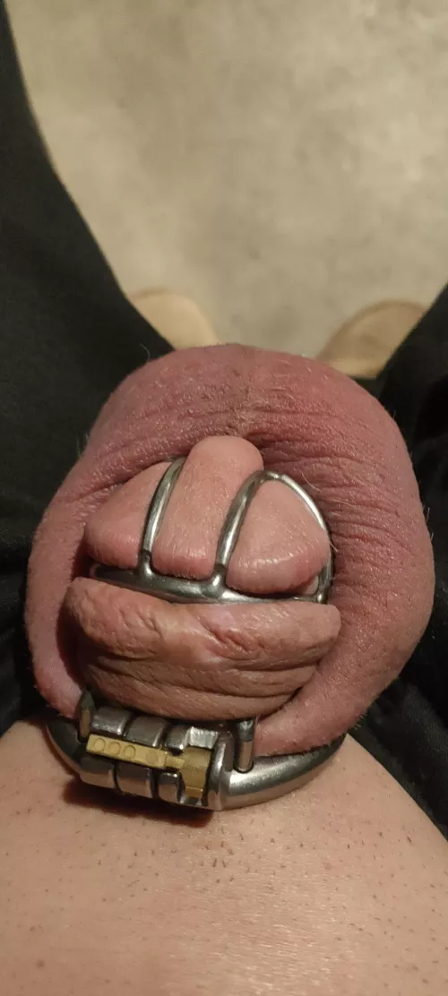 three years locked up for my wife and she loves telling me it's forever. by shitsandgigssss