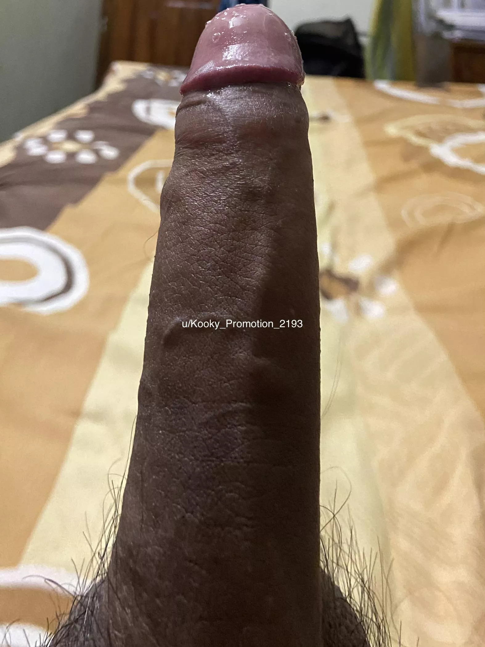 Throbbing to enter a pussy posted by Kooky_Promotion_2193