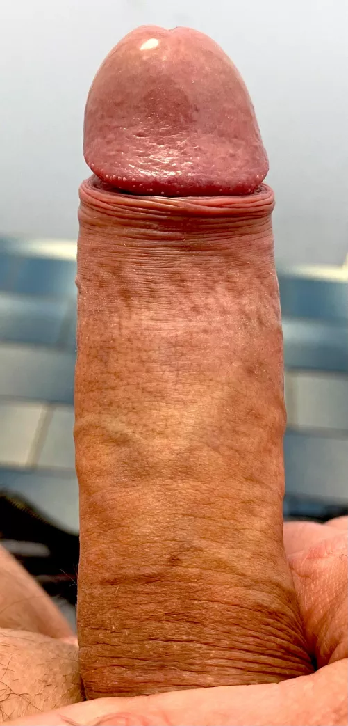 Throbbing today, who wants to help me out.. by hornyman2610