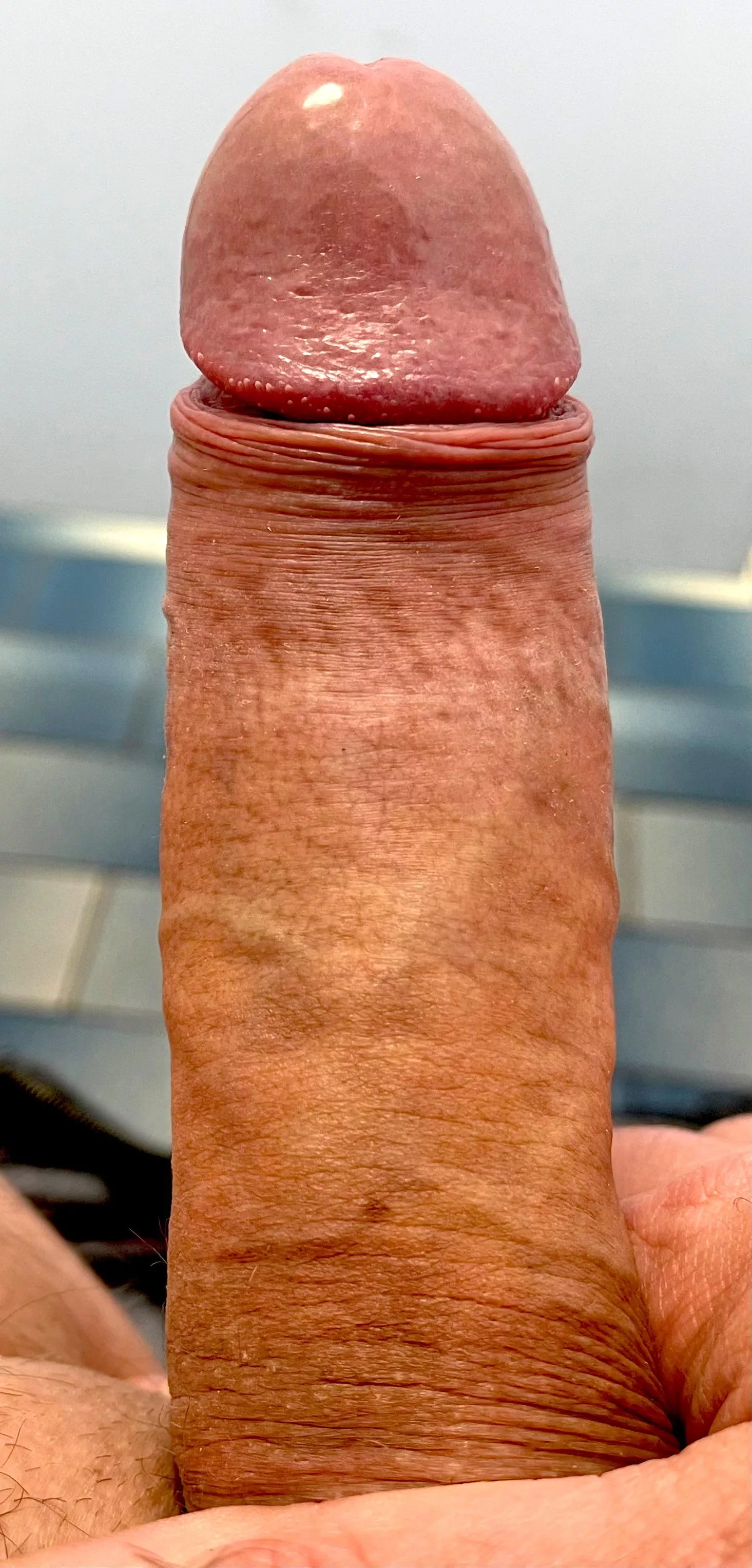 Throbbing today, who wants to help me out.. posted by hornyman2610