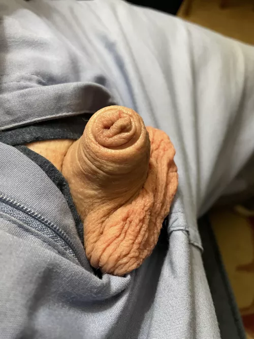 Thursday breakfast (40) by Friendly-Jacket-1793