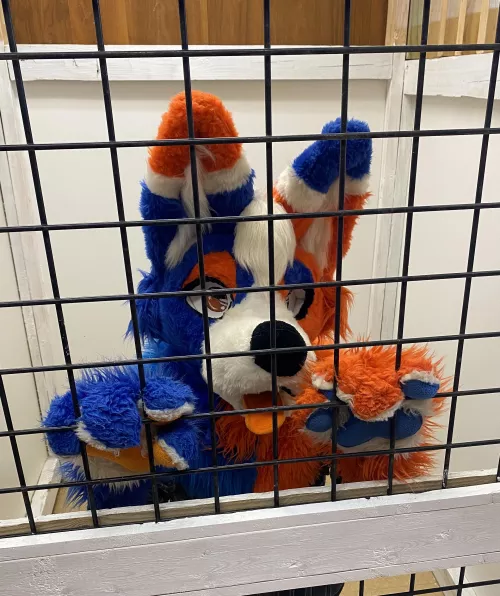 TidedPod Got InTrouble! 😯😦 by TidedPod