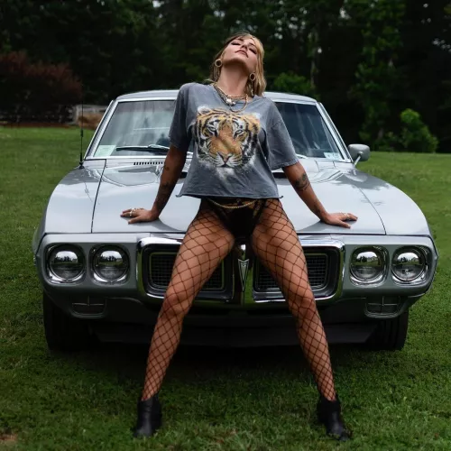 tiger queen by kairu173