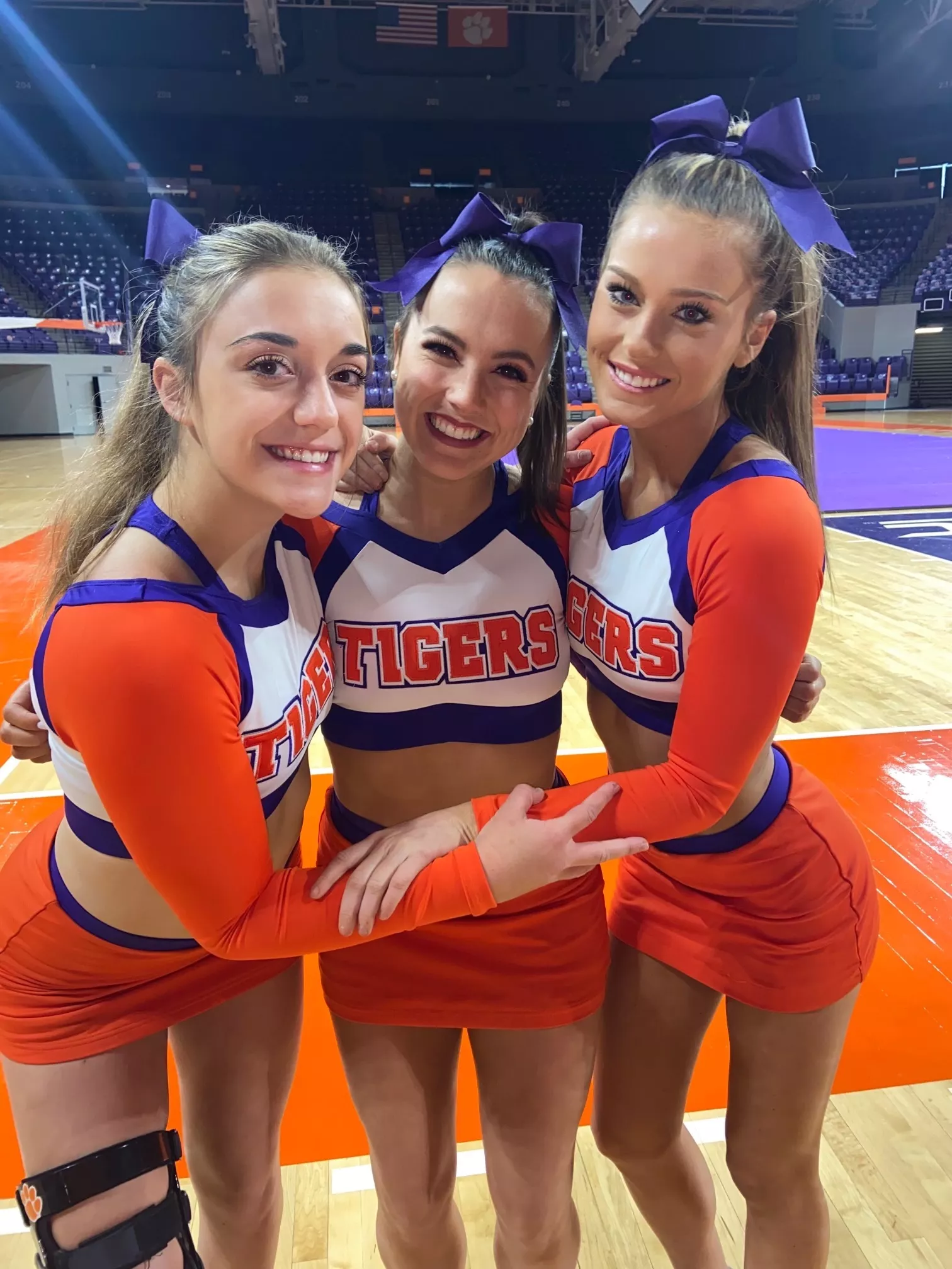 Tigers posted by GopherHit