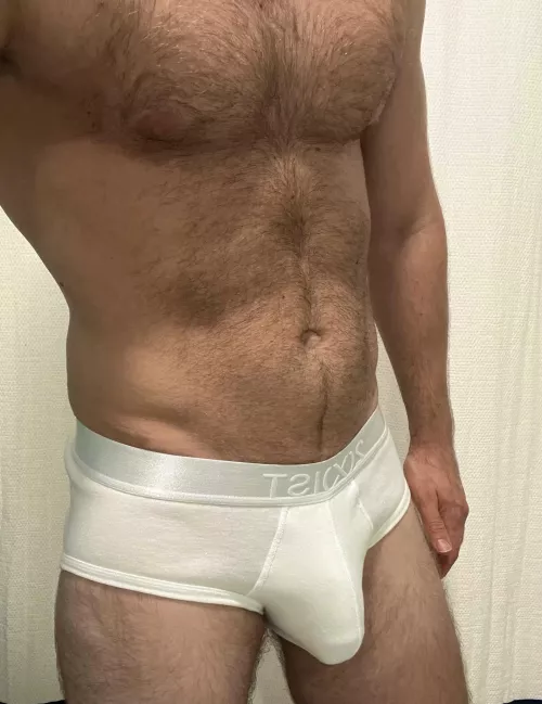 Tighty whities bulge 💪🏼 by HairyJock87