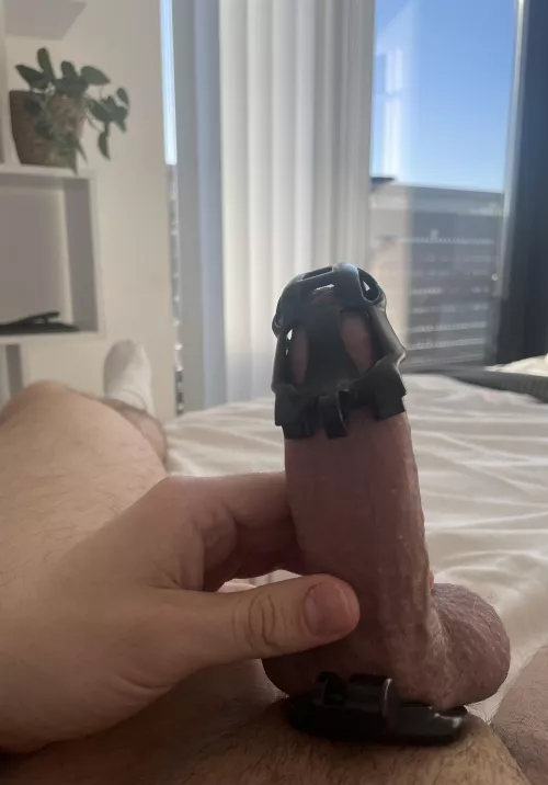 Time to get you back in your cage 😈🔐 by chaste_ldn