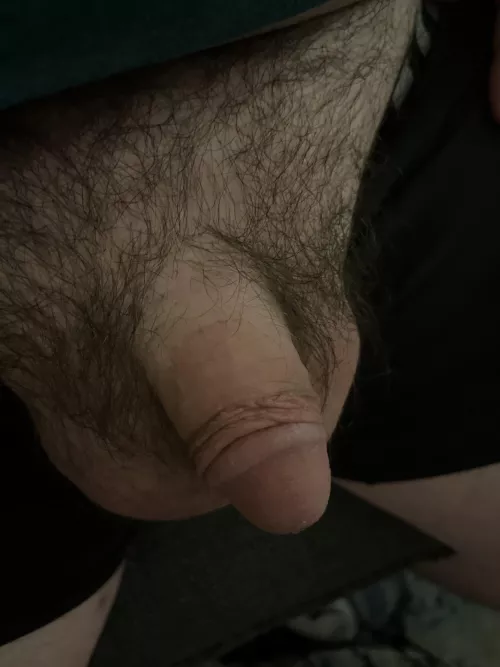 Tiny or not so much??? (37) by Vegetable_Cod6248