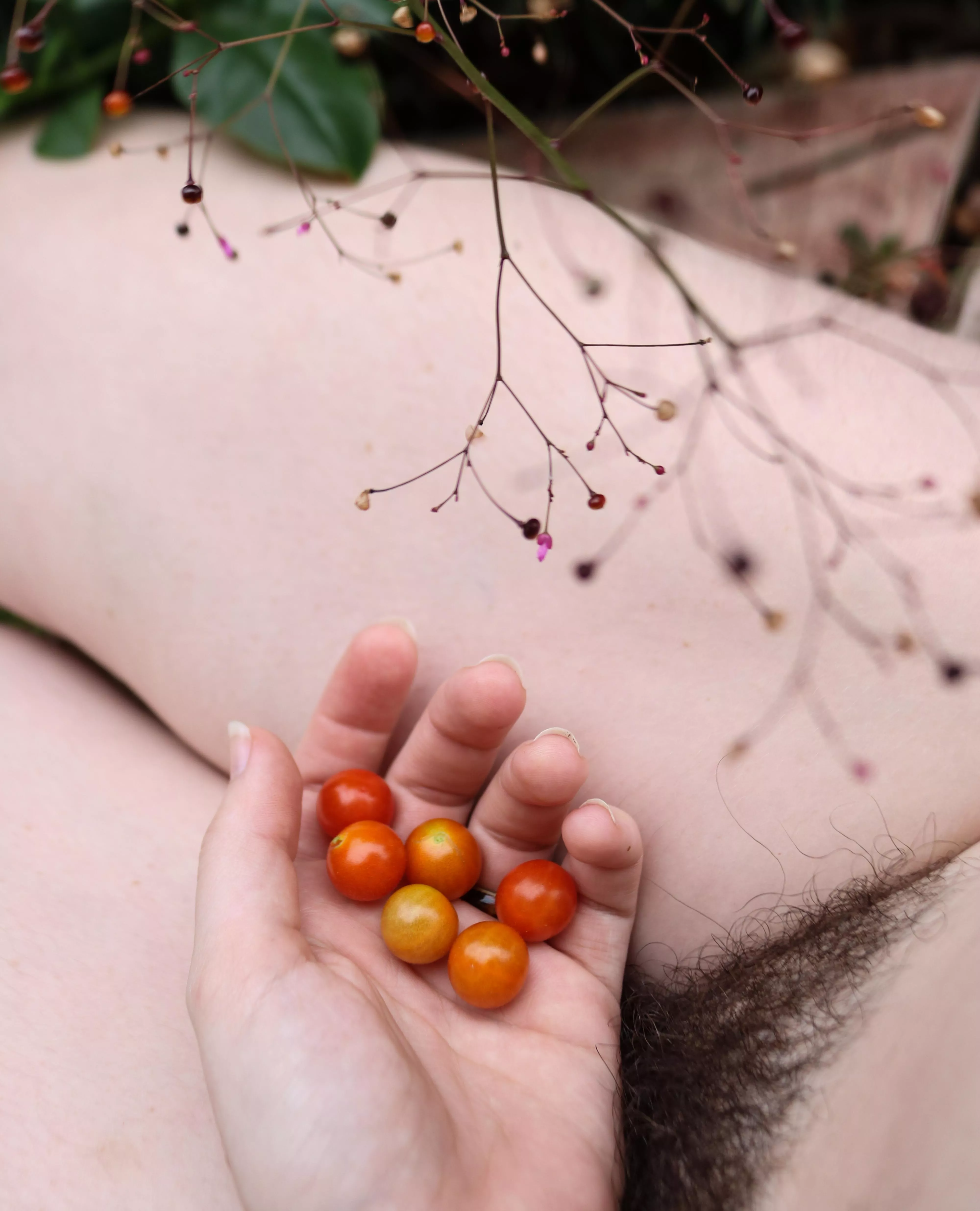 tiny tomatoes posted by _creature_feature