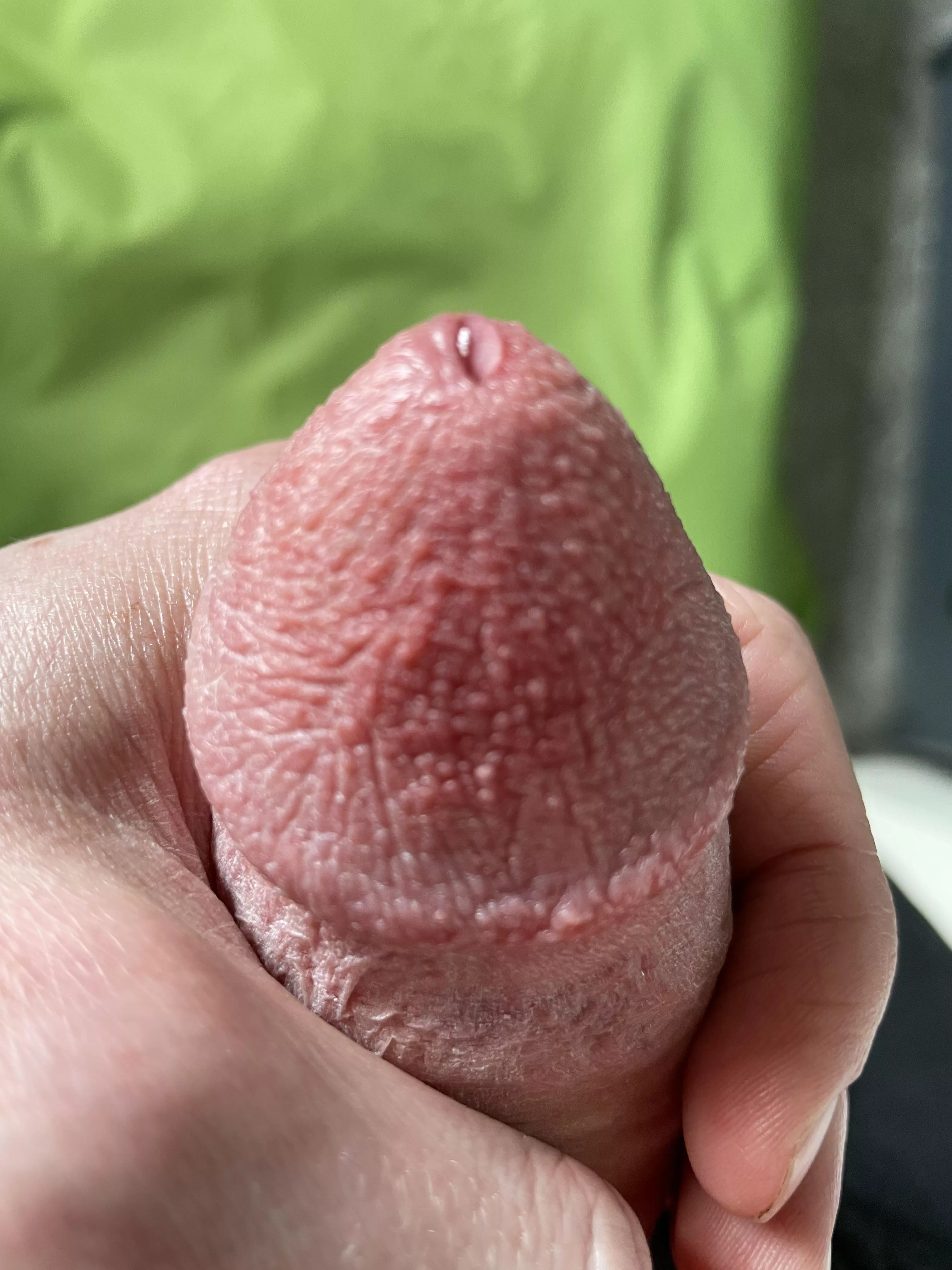 Tip drip posted by sand4509