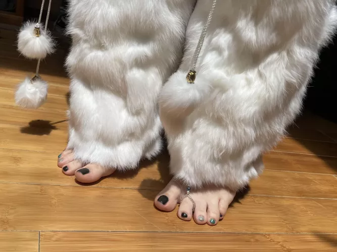 Tippy toes poking out :) by JennysPerfectPaws