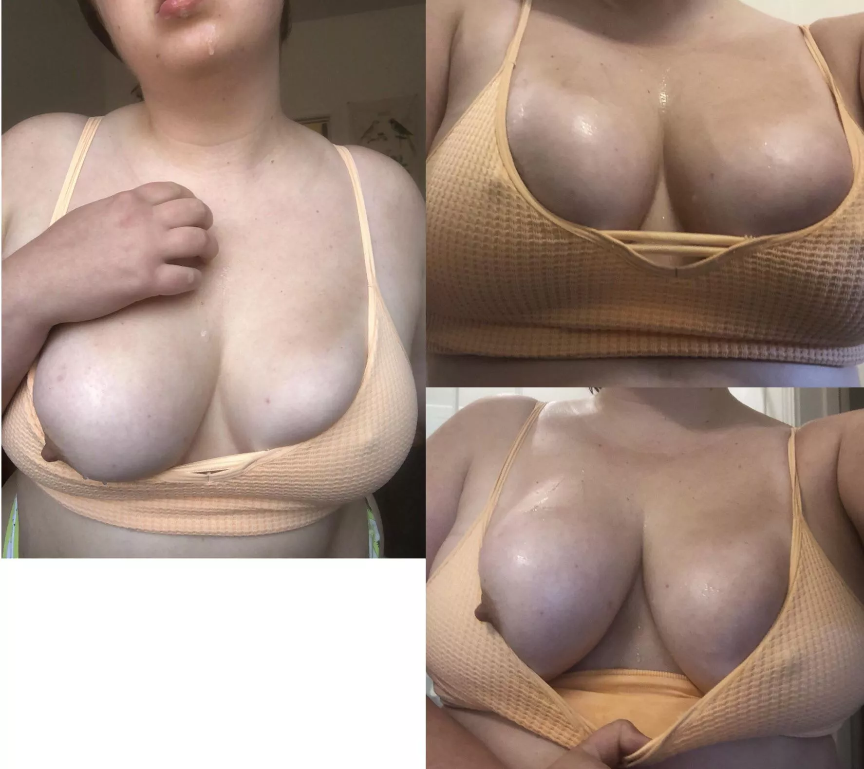 tipsy & breedable 😋 posted by honeyhips_me