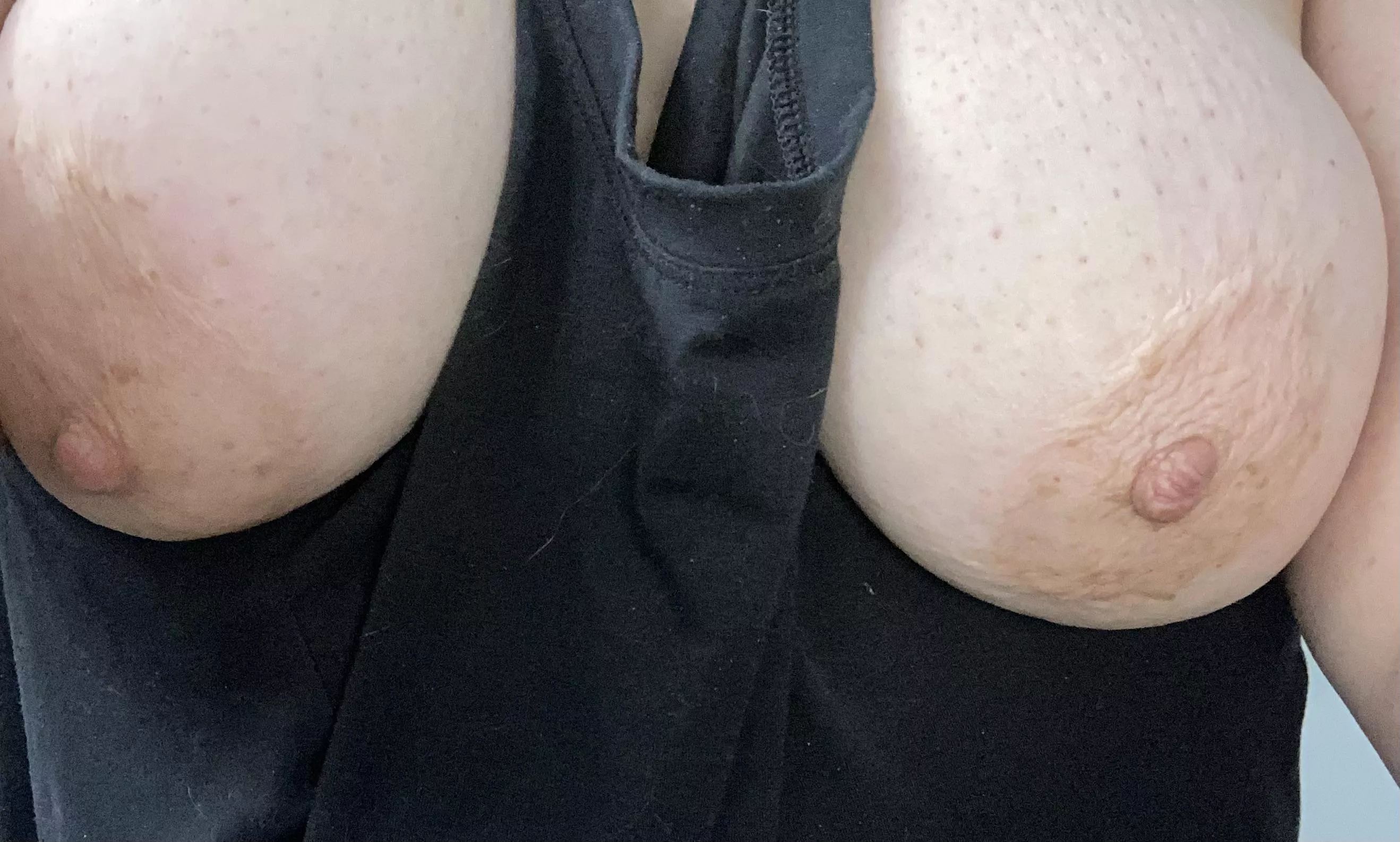 Titty tank Thursday posted by frexnspex