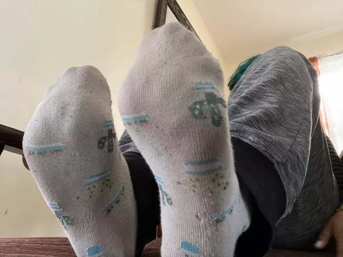 To sniff or get stepped on? by sweet_val_xx