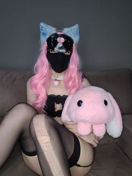 Today I'm behaved ☺️. Does a cute pet gain affection? 🥺💖 by sayu_puppy