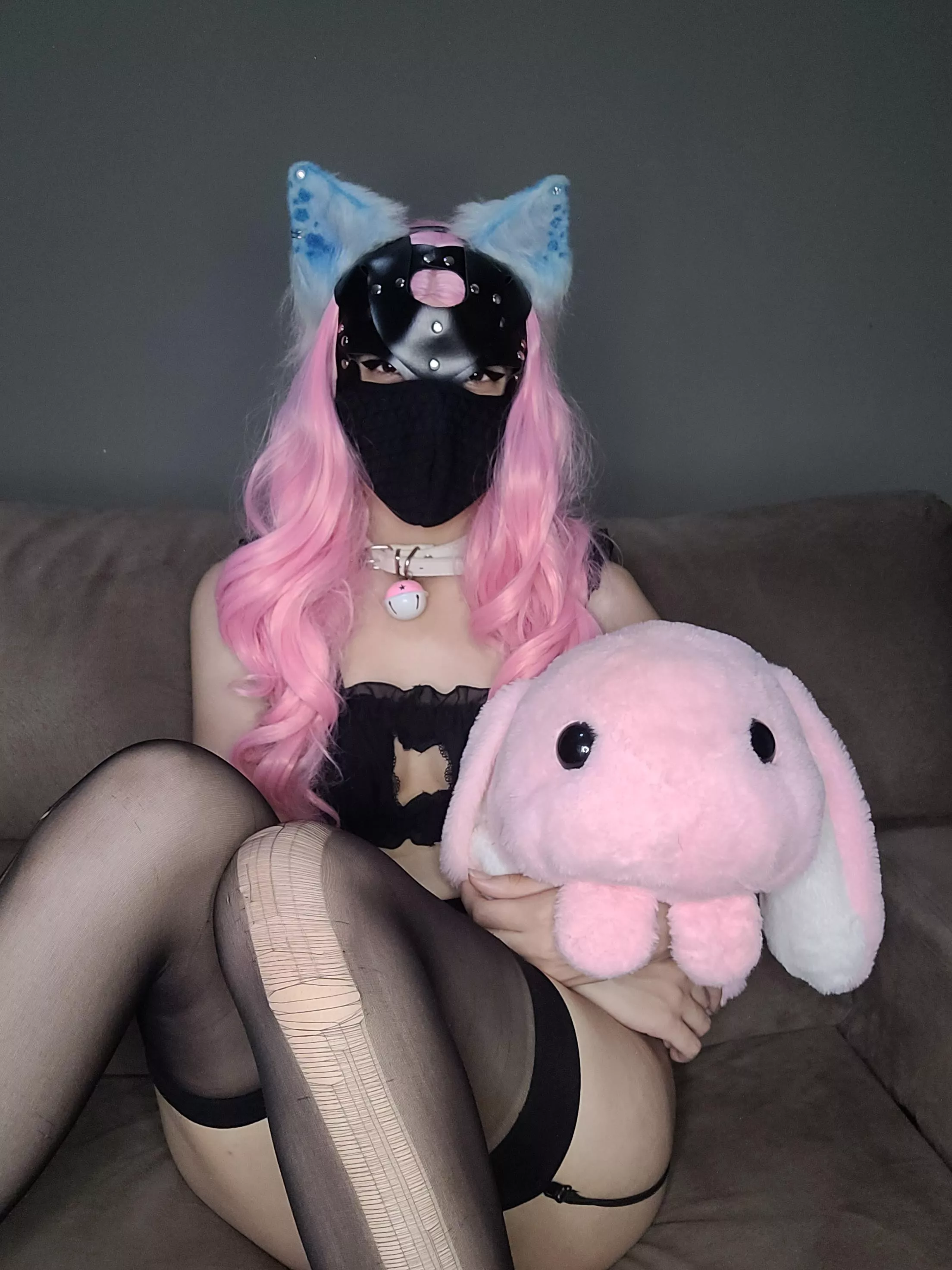 Today I'm behaved ☺️. Does a cute pet gain affection? 🥺💖 posted by sayu_puppy