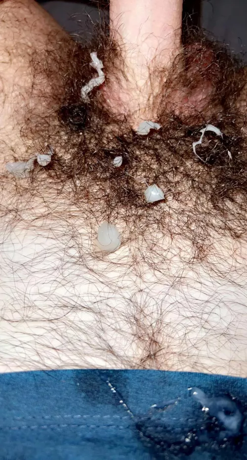 Todays feast by Strong-Piano-4241