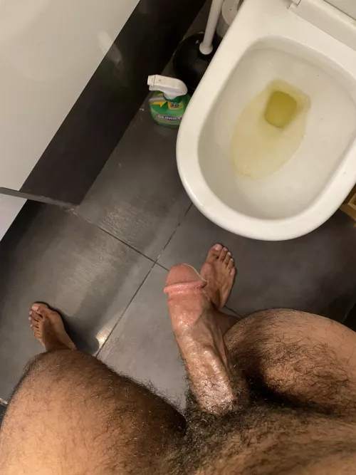 toilets are boring by burntends999