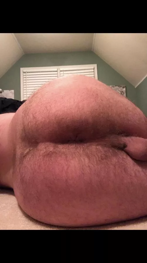 Tongue ufck my hairy hole by baronliberated