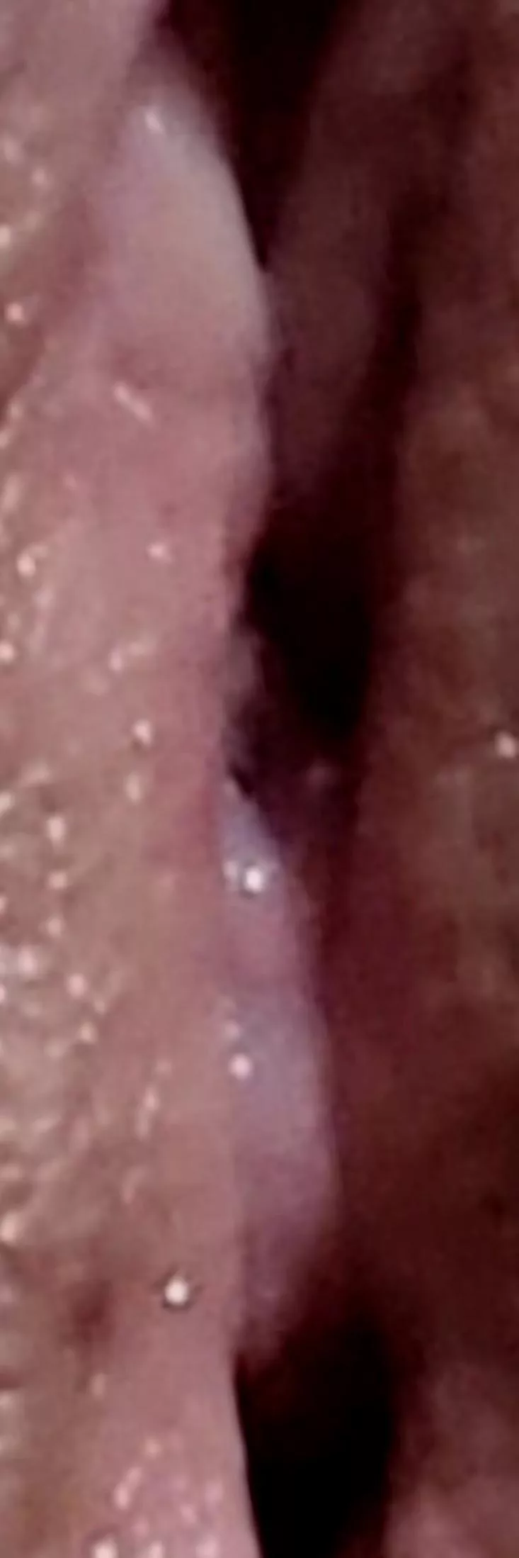 tongue view posted by taibae11