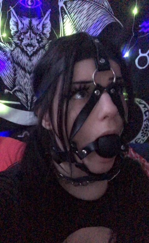 too dumb to tighten it myself ); [f] by exhale_jay