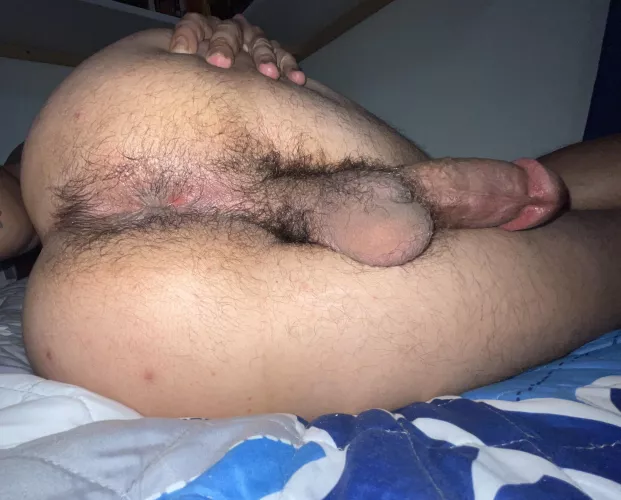 Too hairy? Thoughts? by dacapp6_