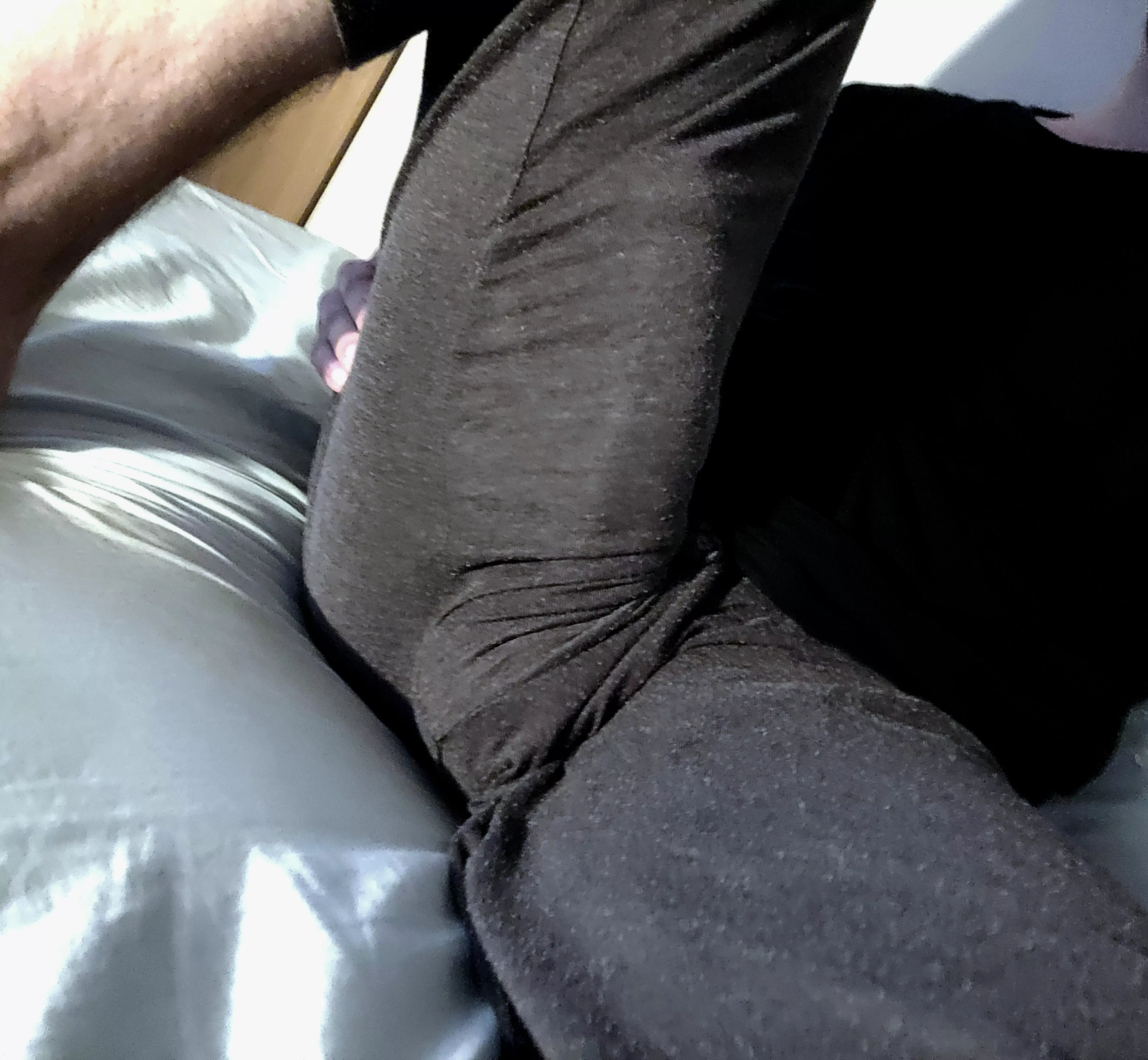 Too lazy to get out of bed today posted by longamerstaff