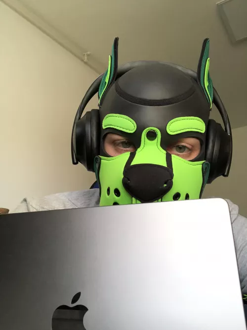 Too much work for a puppy. Puppy needs a nap! 😴 by pupace18