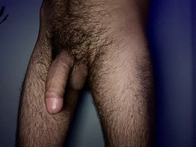 Too thick to hide the head by robinlong11211