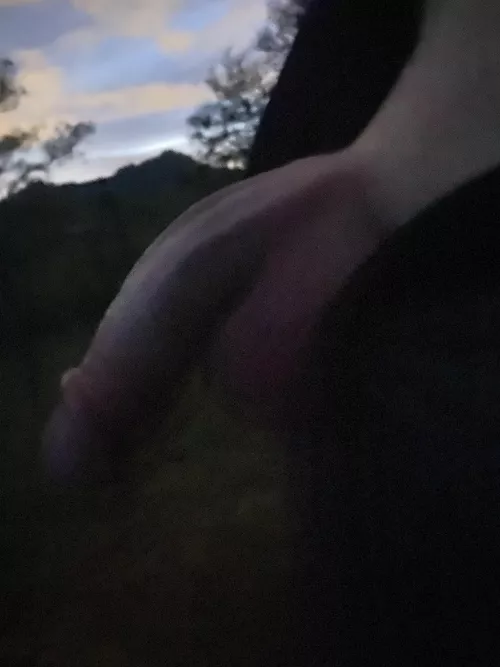 Took a lil break from apex by Alarming-Ad-3970