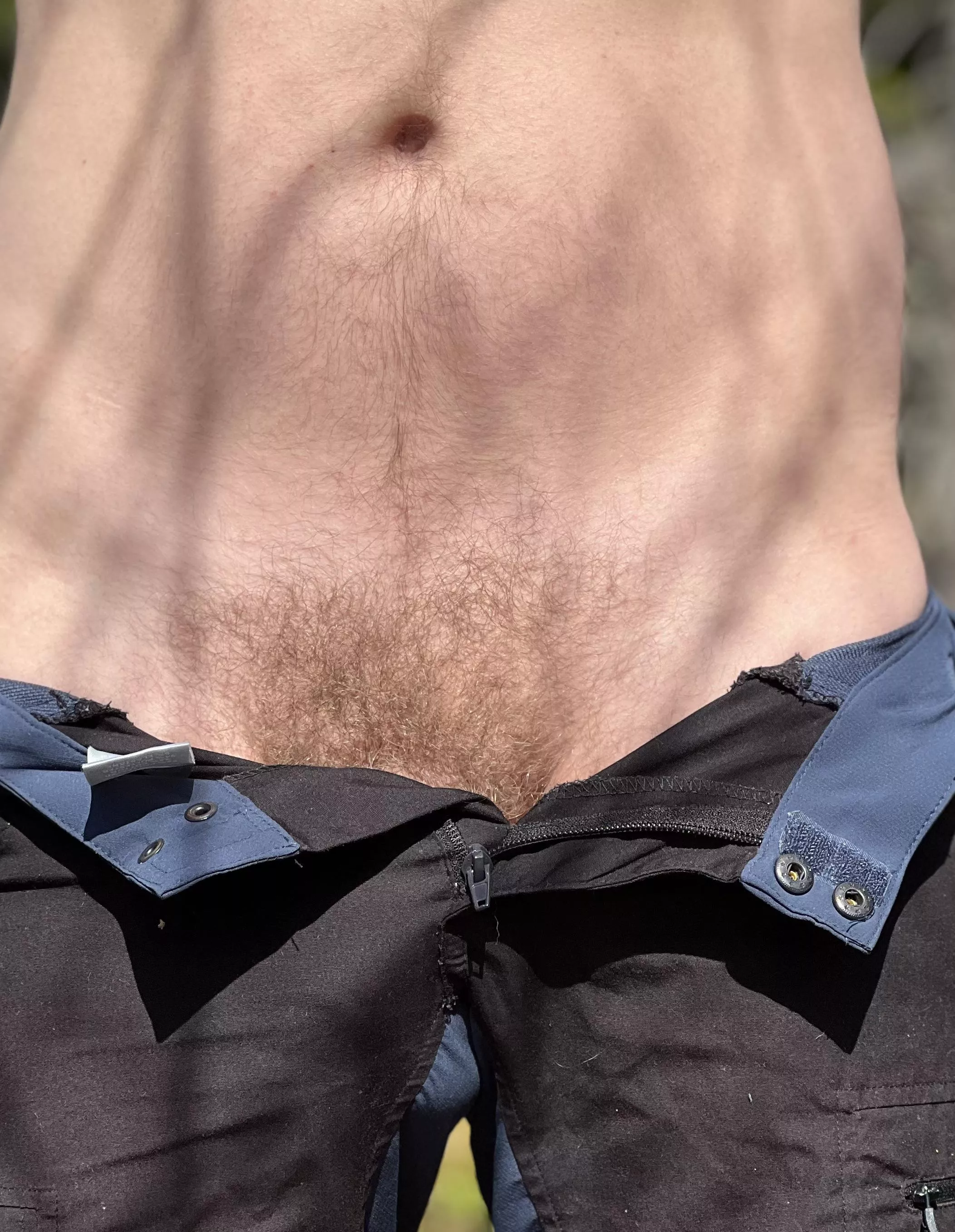 Took a walk in the woods! posted by Regular-Eggplanty