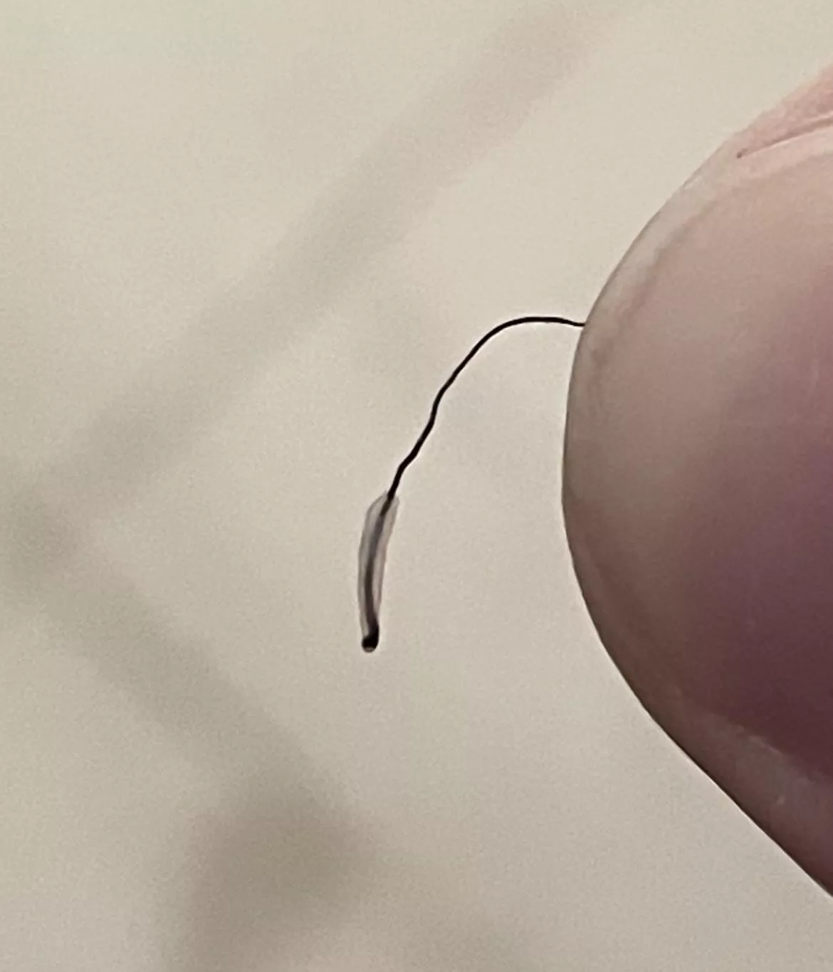 Took an ingrown hair out, it came like this posted by BrerCue